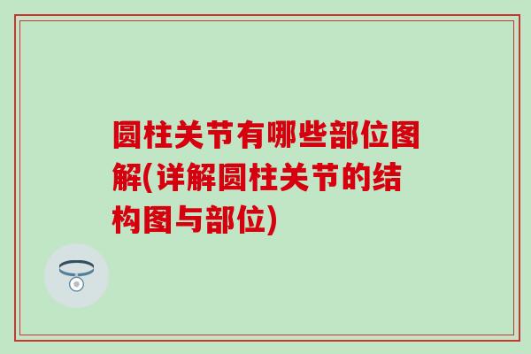 圆柱关节有哪些部位图解(详解圆柱关节的结构图与部位)