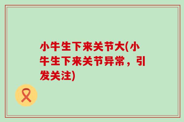 小牛生下来关节大(小牛生下来关节异常,引发关注) 小牛生下来关节大(小牛生下来关节异常,引发关注)