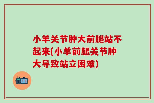 小羊关节肿大前腿站不起来(小羊前腿关节肿大导致站立困难)