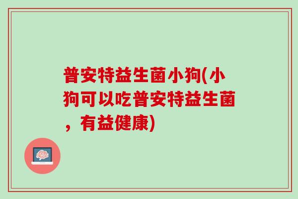 普安特益生菌小狗(小狗可以吃普安特益生菌，有益健康)