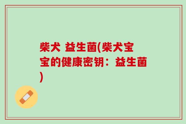 柴犬 益生菌(柴犬宝宝的健康密钥：益生菌)