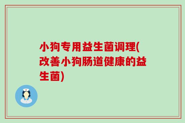 小狗专用益生菌调理(改善小狗肠道健康的益生菌)