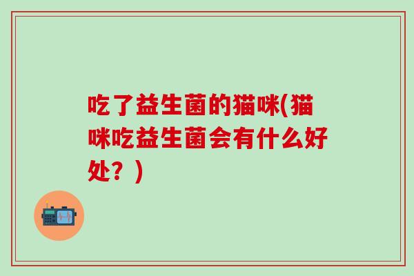吃了益生菌的猫咪(猫咪吃益生菌会有什么好处?) 吃了益生菌的猫咪(猫咪吃益生菌会有什么好处?)