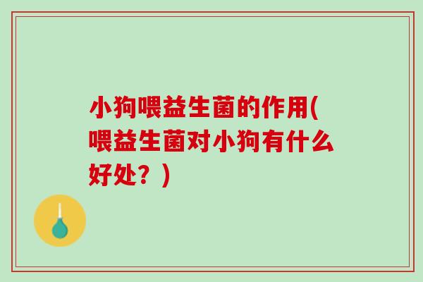 小狗喂益生菌的作用(喂益生菌对小狗有什么好处？)