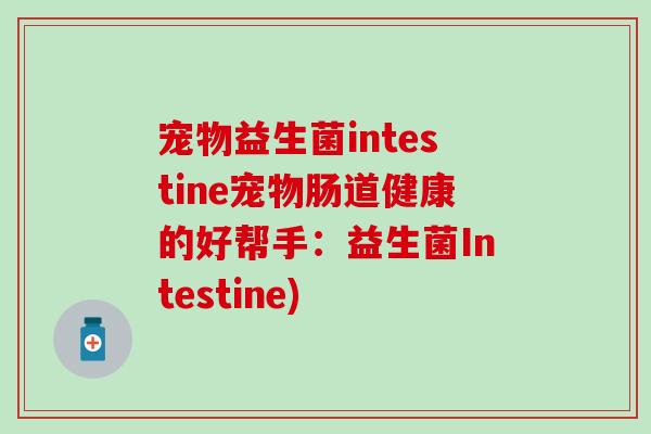 宠物益生菌intestine宠物肠道健康的好帮手：益生菌Intestine)