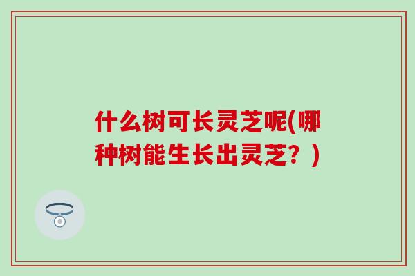 什么树可长灵芝呢(哪种树能生长出灵芝？)
