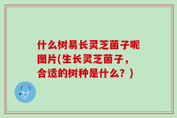 什么树易长灵芝菌子呢图片(生长灵芝菌子，合适的树种是什么？)