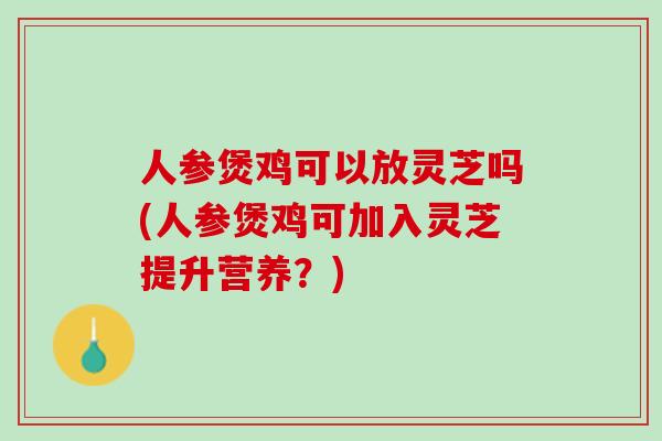 人参煲鸡可以放灵芝吗(人参煲鸡可加入灵芝提升营养？)