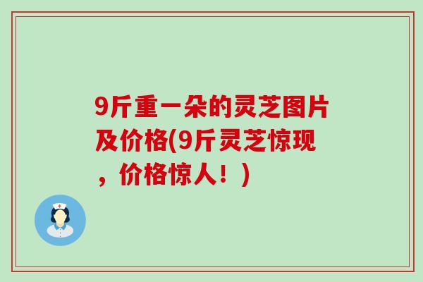 9斤重一朵的灵芝图片及价格(9斤灵芝惊现，价格惊人！)