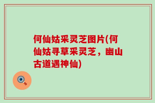 何仙姑采灵芝图片(何仙姑寻草采灵芝，幽山古道遇神仙)