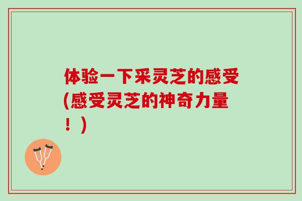 体验一下采灵芝的感受(感受灵芝的神奇力量！)