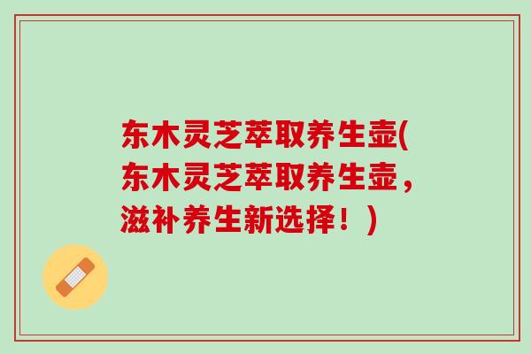 东木灵芝萃取养生壶(东木灵芝萃取养生壶，滋补养生新选择！)