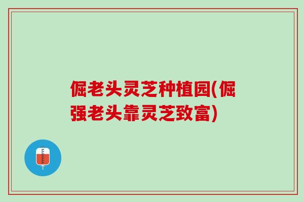 倔老头灵芝种植园(倔强老头靠灵芝致富)