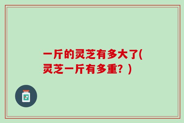 一斤的灵芝有多大了(灵芝一斤有多重？)
