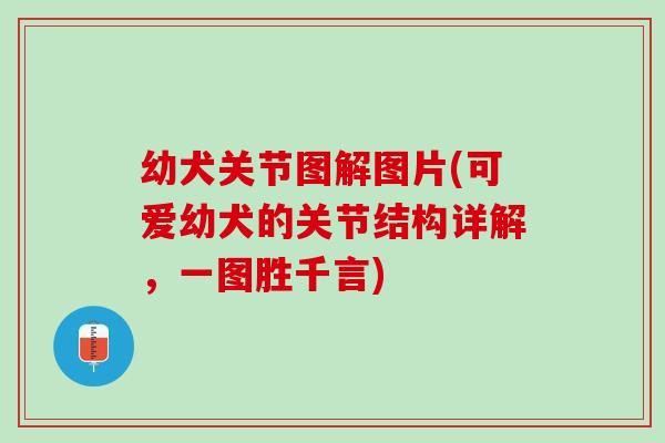 幼犬关节图解图片(可爱幼犬的关节结构详解，一图胜千言)