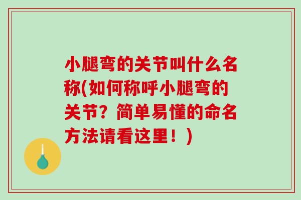 小腿弯的关节叫什么名称(如何称呼小腿弯的关节？简单易懂的命名方法请看这里！)