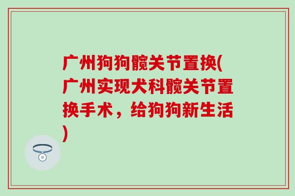 广州狗狗髋关节置换(广州实现犬科髋关节置换手术，给狗狗新生活)