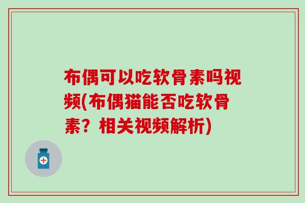布偶可以吃软骨素吗视频(布偶猫能否吃软骨素？相关视频解析)