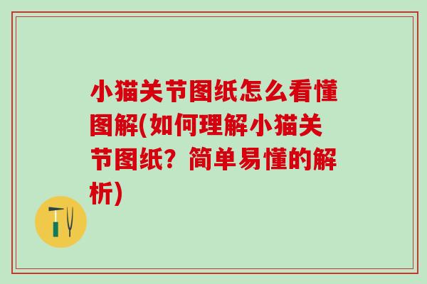 小猫关节图纸怎么看懂图解(如何理解小猫关节图纸？简单易懂的解析)