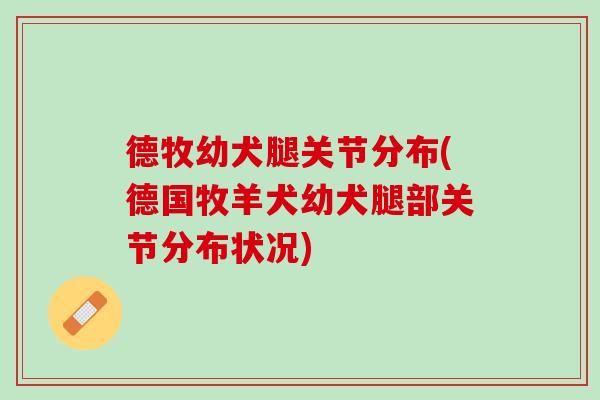 德牧幼犬腿关节分布(德国牧羊犬幼犬腿部关节分布状况)