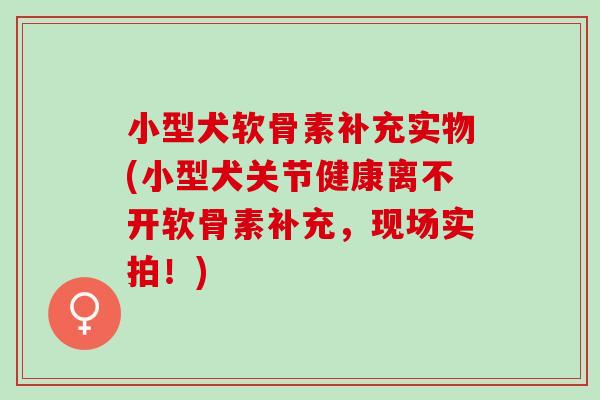 小型犬软骨素补充实物(小型犬关节健康离不开软骨素补充，现场实拍！)