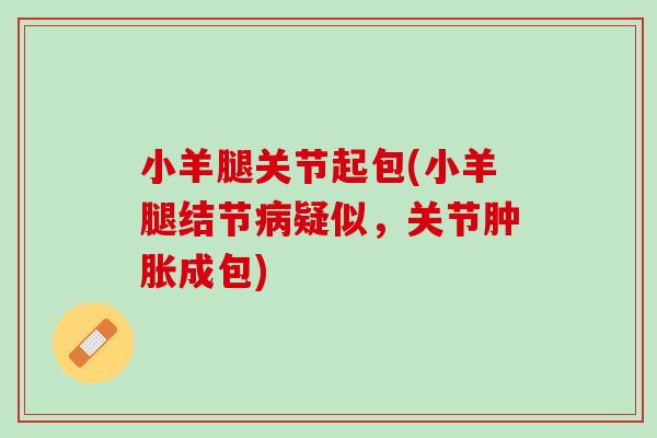 小羊腿关节起包(小羊腿结节病疑似，关节肿胀成包)