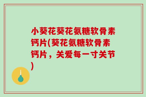 小葵花葵花氨糖软骨素钙片(葵花氨糖软骨素钙片，关爱每一寸关节)