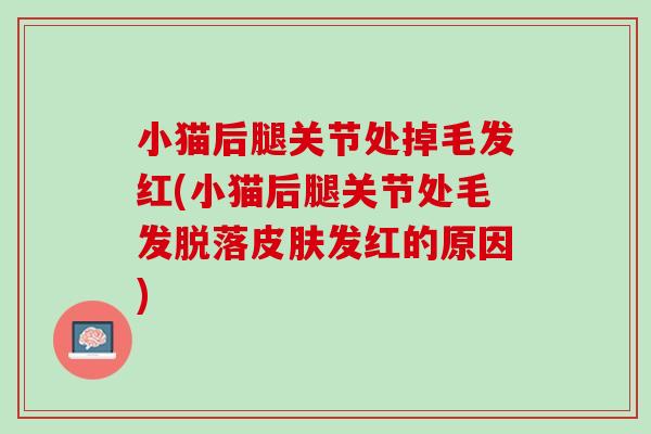 小猫后腿关节处掉毛发红(小猫后腿关节处毛发脱落皮肤发红的原因)