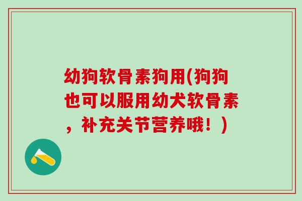 幼狗软骨素狗用(狗狗也可以服用幼犬软骨素，补充关节营养哦！)