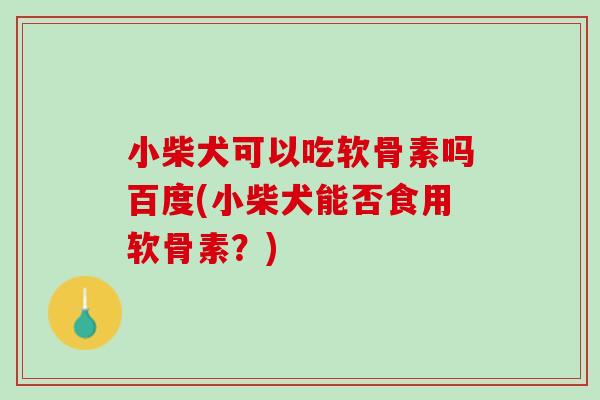 小柴犬可以吃软骨素吗百度(小柴犬能否食用软骨素？)