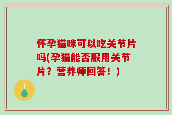 怀孕猫咪可以吃关节片吗(孕猫能否服用关节片？营养师回答！)