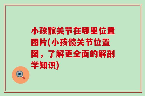小孩髋关节在哪里位置图片(小孩髋关节位置图，了解更全面的解剖学知识)