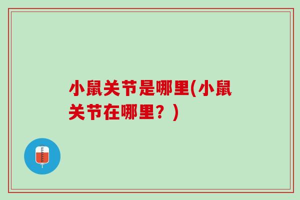 小鼠关节是哪里(小鼠关节在哪里？)