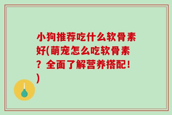 小狗推荐吃什么软骨素好(萌宠怎么吃软骨素？全面了解营养搭配！)