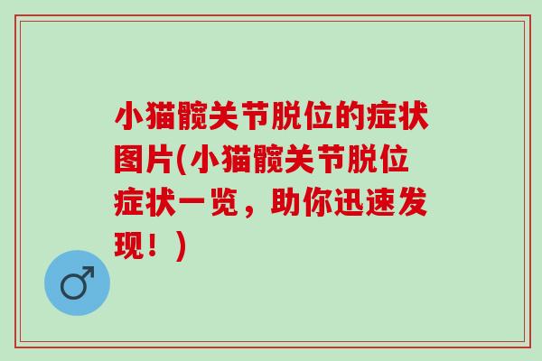 小猫髋关节脱位的症状图片(小猫髋关节脱位症状一览，助你迅速发现！)