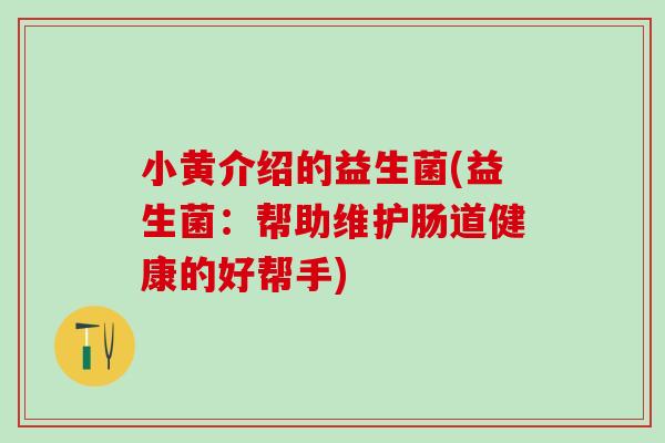 小黄介绍的益生菌(益生菌：帮助维护肠道健康的好帮手)