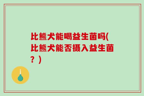 比熊犬能喝益生菌吗(比熊犬能否摄入益生菌？)