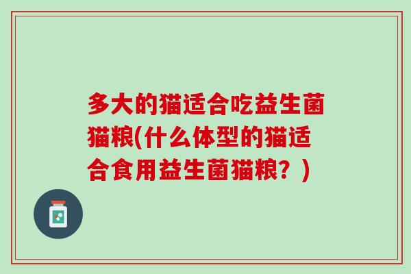 多大的猫适合吃益生菌猫粮(什么体型的猫适合食用益生菌猫粮？)