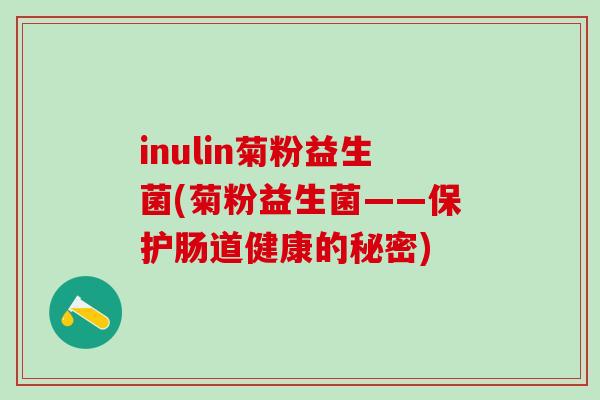 inulin菊粉益生菌(菊粉益生菌——保护肠道健康的秘密)