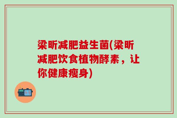 梁昕减肥益生菌(梁昕减肥饮食植物酵素，让你健康瘦身)
