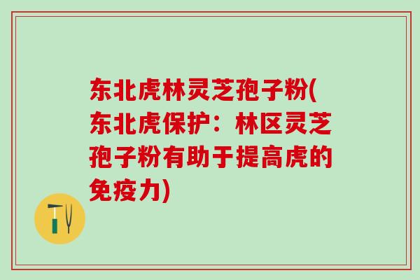 东北虎林灵芝孢子粉(东北虎保护：林区灵芝孢子粉有助于提高虎的免疫力)