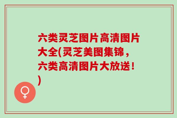 六类灵芝图片高清图片大全(灵芝美图集锦，六类高清图片大放送！)