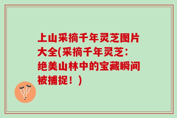 上山采摘千年灵芝图片大全(采摘千年灵芝：绝美山林中的宝藏瞬间被捕捉！)