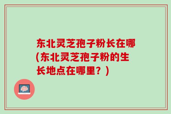 东北灵芝孢子粉长在哪(东北灵芝孢子粉的生长地点在哪里？)