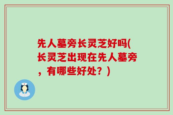 先人墓旁长灵芝好吗(长灵芝出现在先人墓旁,有哪些好处?) 先人墓旁长灵芝好吗(长灵芝出现在先人墓旁,有哪些好处?)