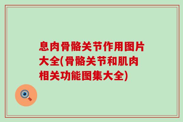 息肉骨骼关节作用图片大全(骨骼关节和肌肉相关功能图集大全)