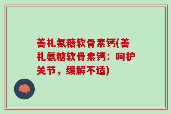 善礼氨糖软骨素钙(善礼氨糖软骨素钙：呵护关节，缓解不适)