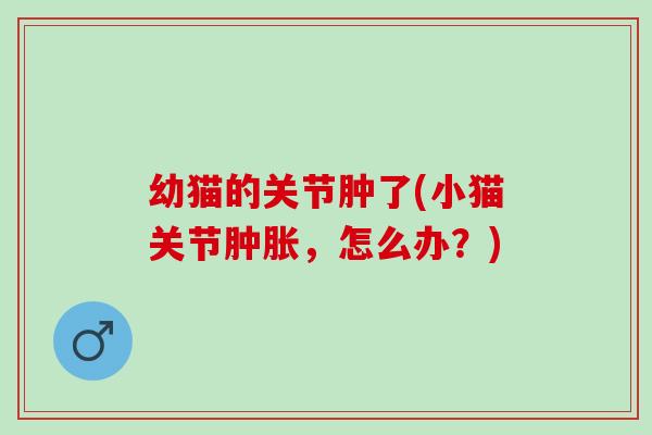 幼猫的关节肿了(小猫关节肿胀，怎么办？)