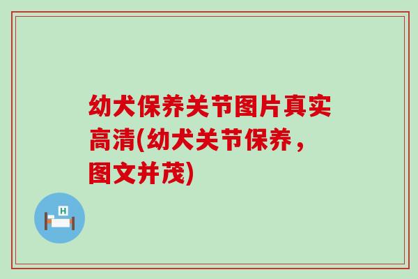 幼犬保养关节图片真实高清(幼犬关节保养，图文并茂)