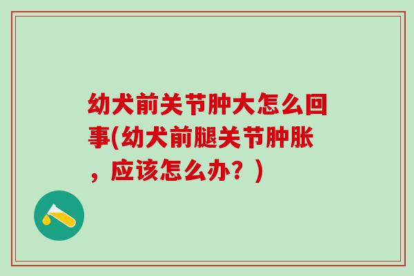 幼犬前关节肿大怎么回事(幼犬前腿关节肿胀，应该怎么办？)
